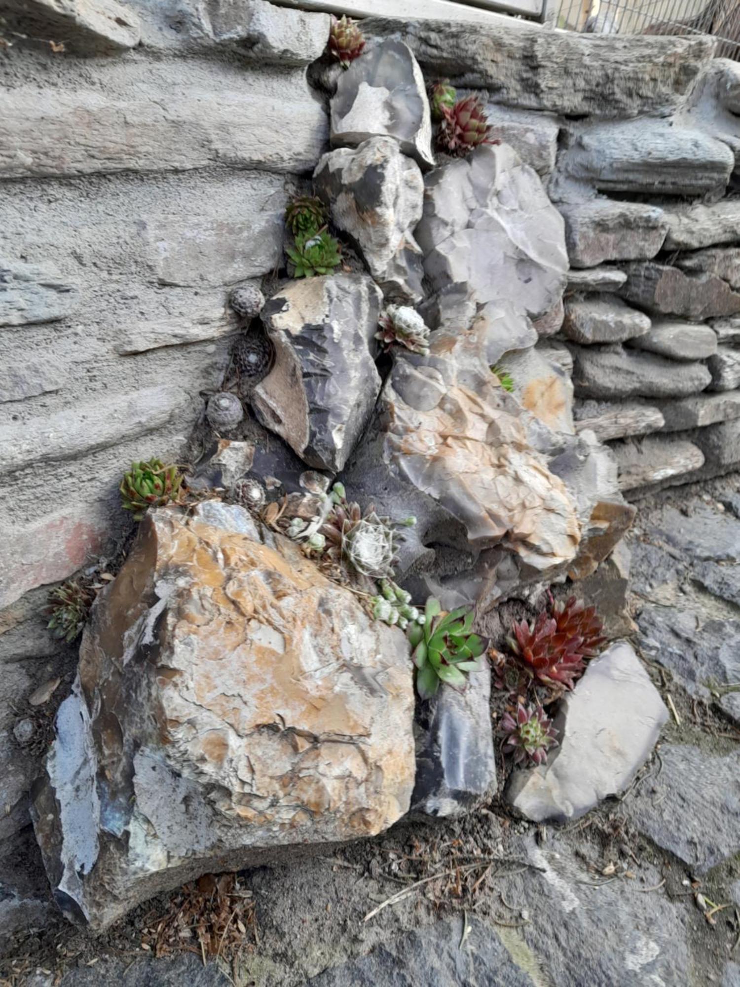 Pokoje Goscinne Skalnik - Agroturystyka คอสต์ชึน นัด โอดรอม ภายนอก รูปภาพ