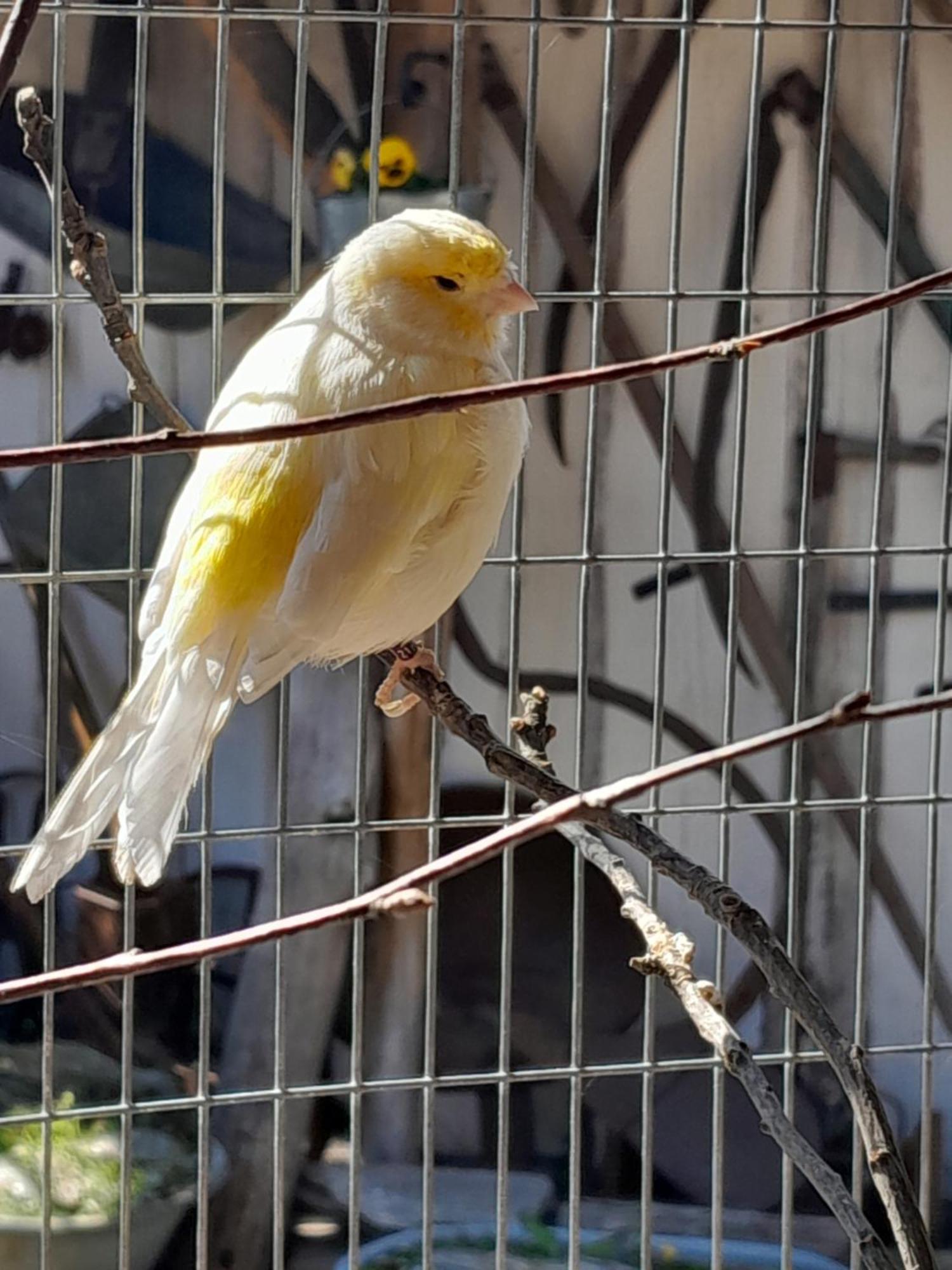 Pokoje Goscinne Skalnik - Agroturystyka คอสต์ชึน นัด โอดรอม ภายนอก รูปภาพ
